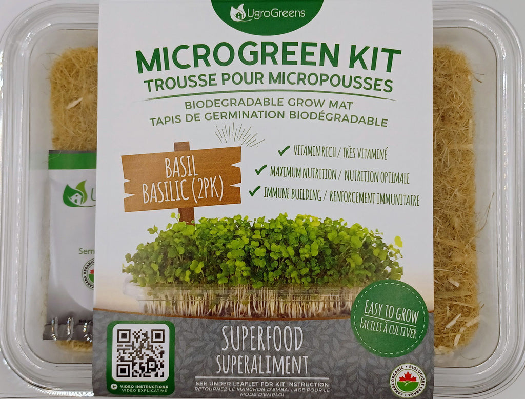 Introducing Basil Microgreens